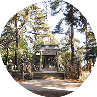 天橋立神社の写真